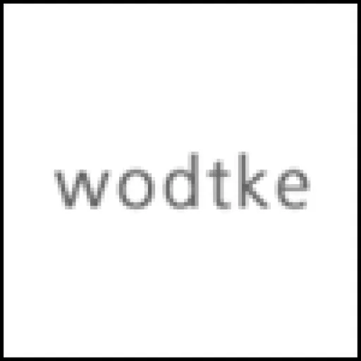 Link zu wodtke GmbH